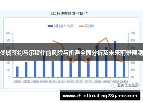 曼城签约马尔穆什的风险与机遇全面分析及未来前景预测