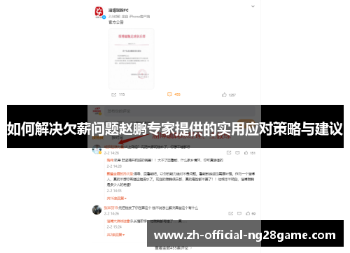 如何解决欠薪问题赵鹏专家提供的实用应对策略与建议