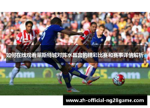 如何在线观看莱斯特城对阵水晶宫的精彩比赛和赛事详情解析