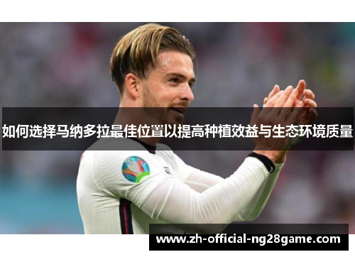 如何选择马纳多拉最佳位置以提高种植效益与生态环境质量