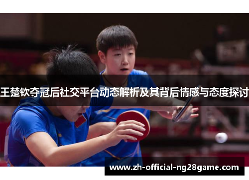 王楚钦夺冠后社交平台动态解析及其背后情感与态度探讨