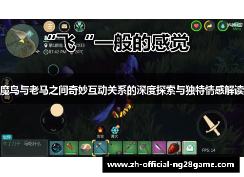 魔鸟与老马之间奇妙互动关系的深度探索与独特情感解读