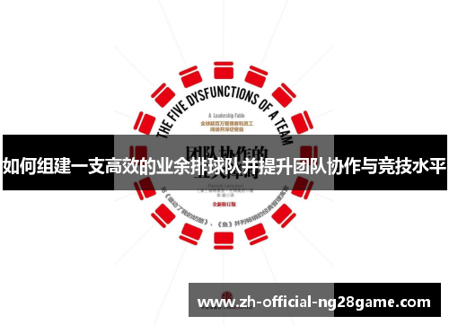 如何组建一支高效的业余排球队并提升团队协作与竞技水平