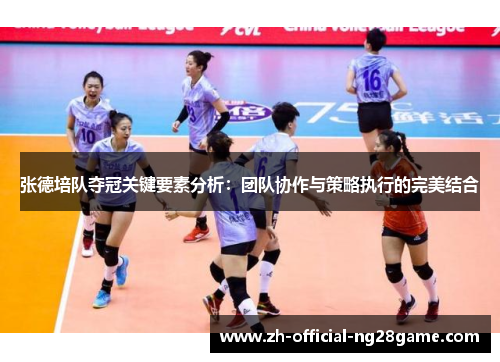 张德培队夺冠关键要素分析:团队协作与策略执行的完美结合 张德培队夺冠关键要素分析:团队协作与策略执行的完美结合