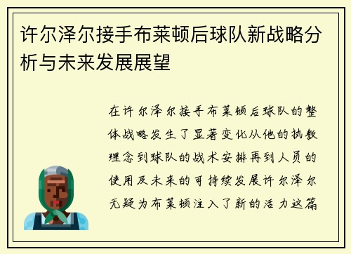 许尔泽尔接手布莱顿后球队新战略分析与未来发展展望